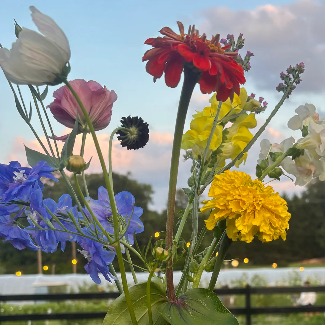 Private Party Saturday August 16, 5:30-7:30pm