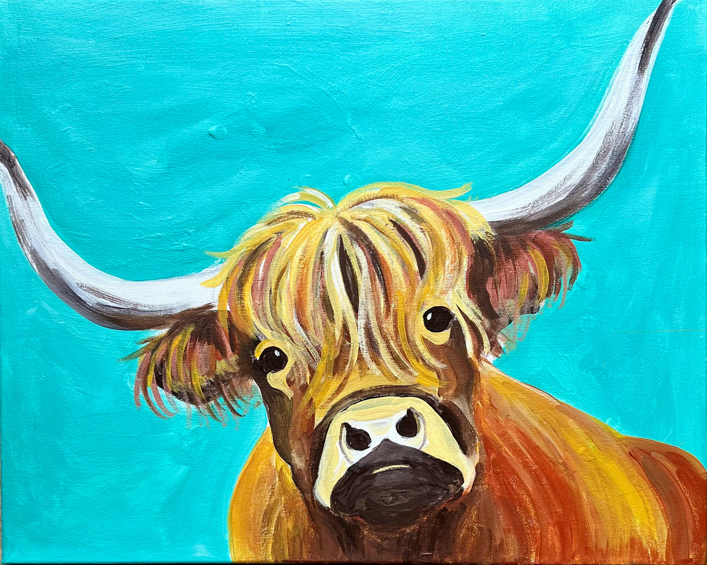 Highland Cow!