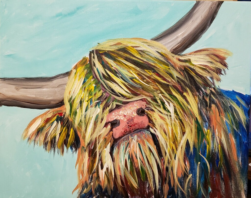 Highland Cow