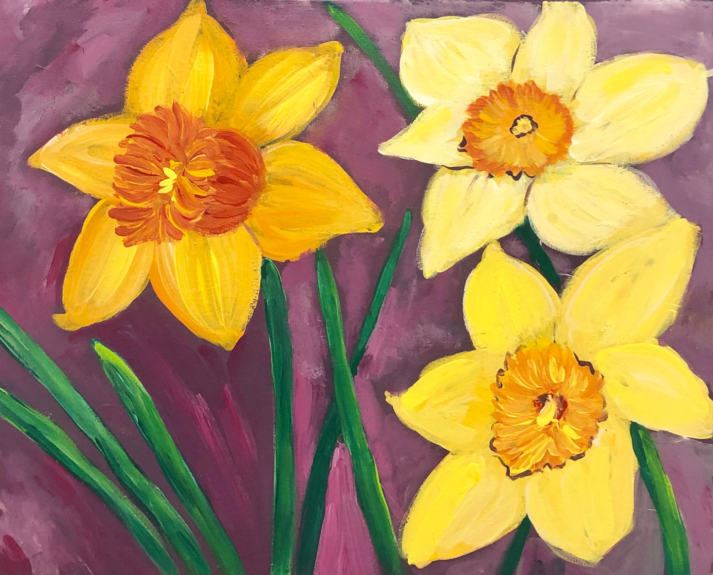 Daffodils