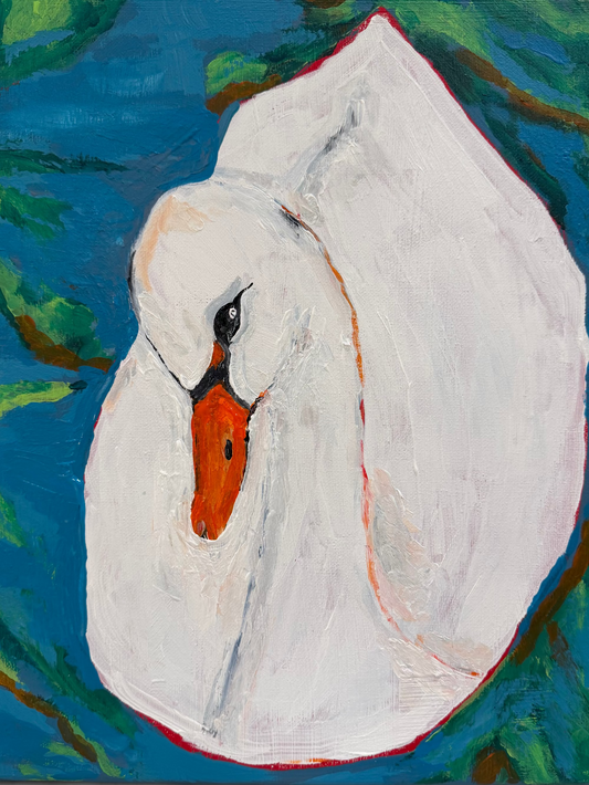 Spring Swan