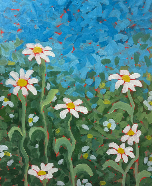Pop of Daisies