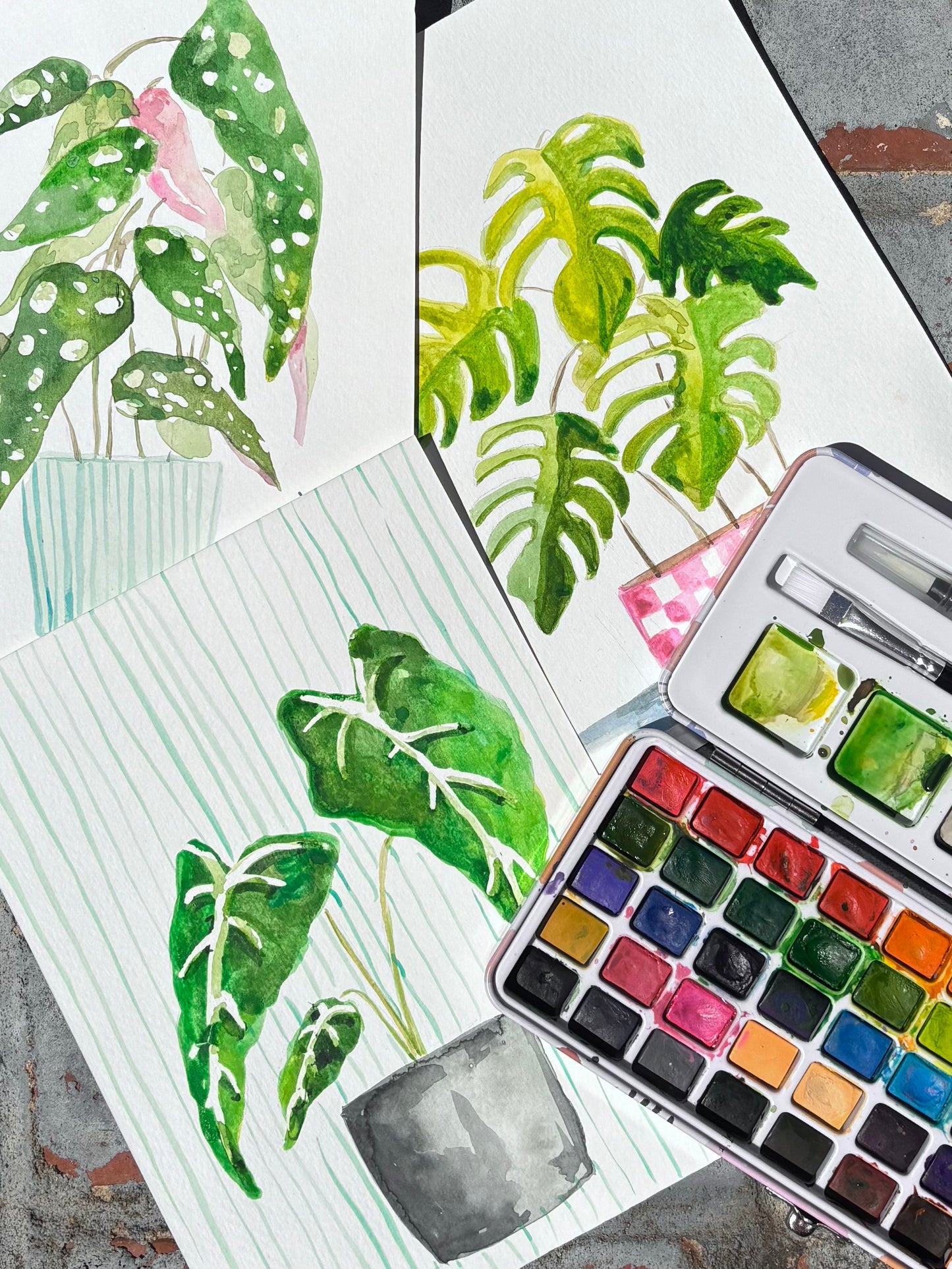 Watercolor Plant Sip & Paint @ Sun & Soil | Greenville, SC