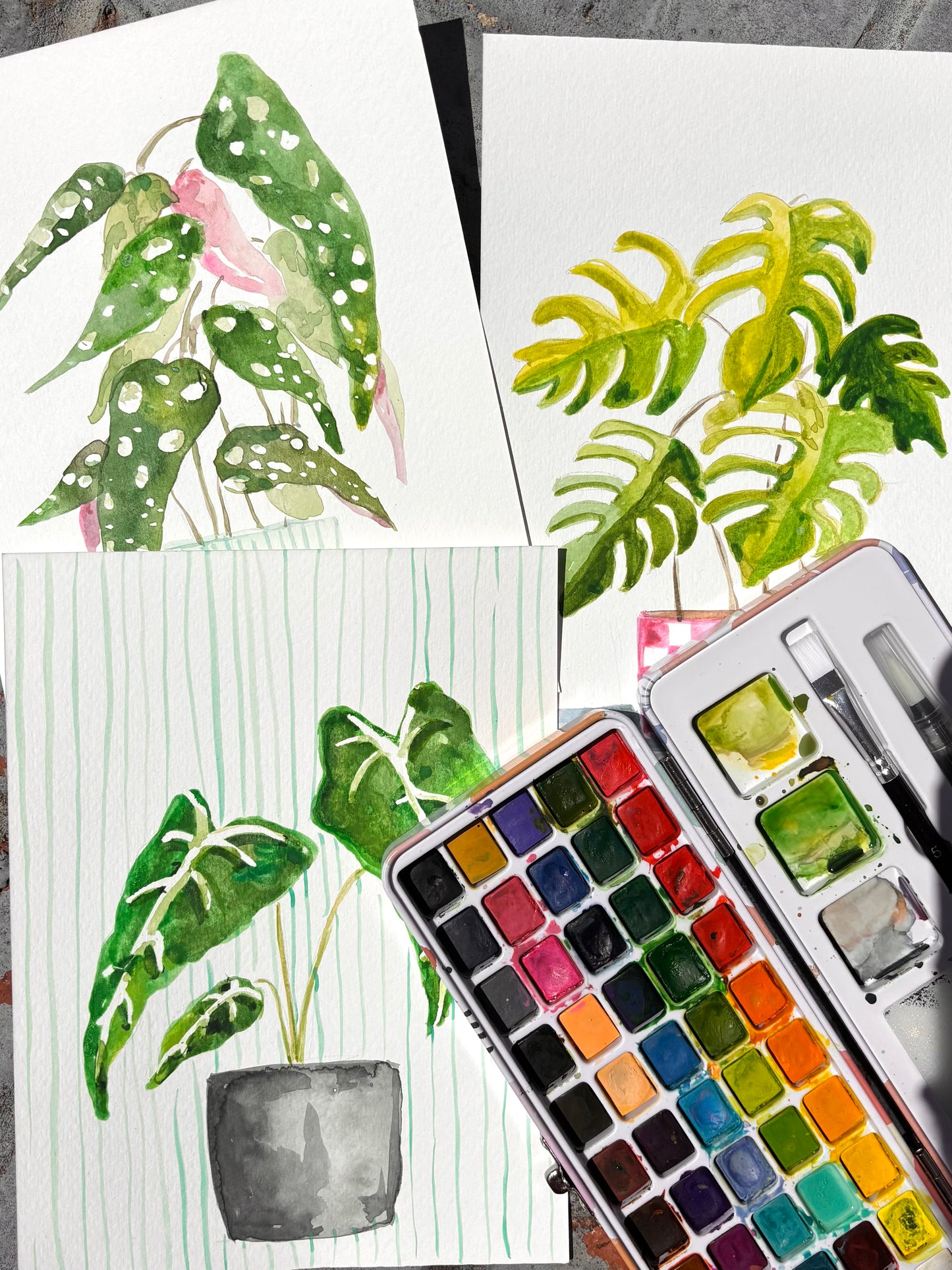 Watercolor Plant Sip & Paint @ Sun & Soil | Greenville, SC