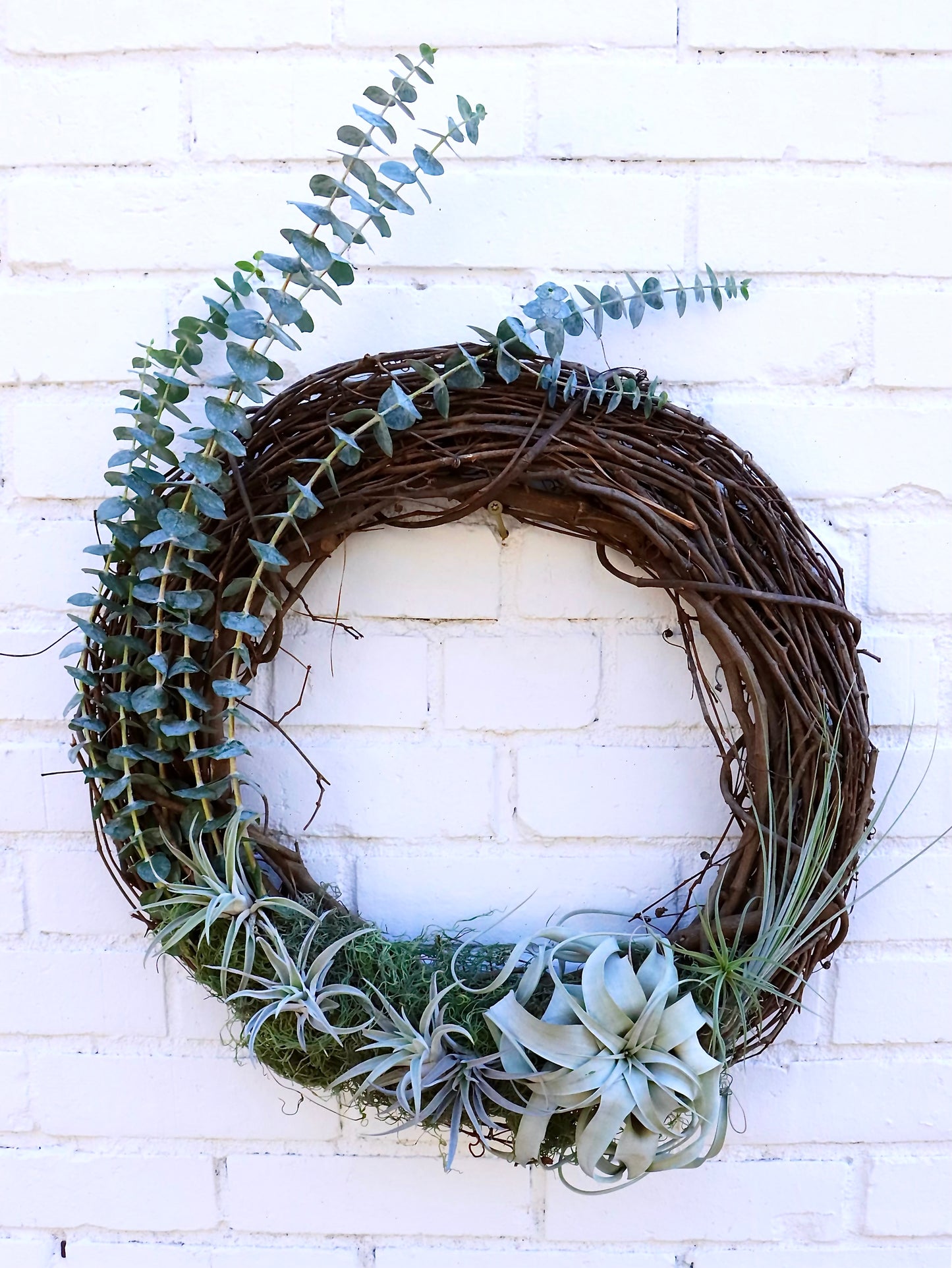 Wreath Making Class with Sun & Soil Plant Parlor!
