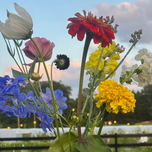 Private Party Saturday August 16, 5:30-7:30pm