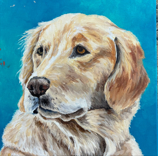 Paint your Pet!