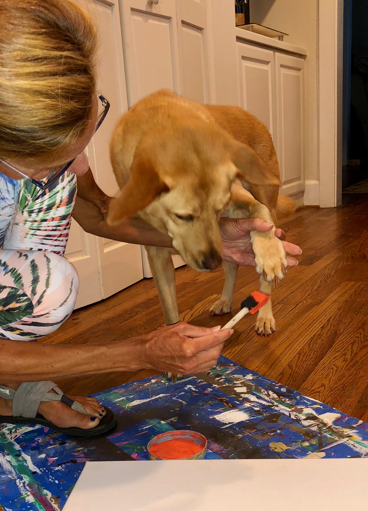 Dog Paw Painting