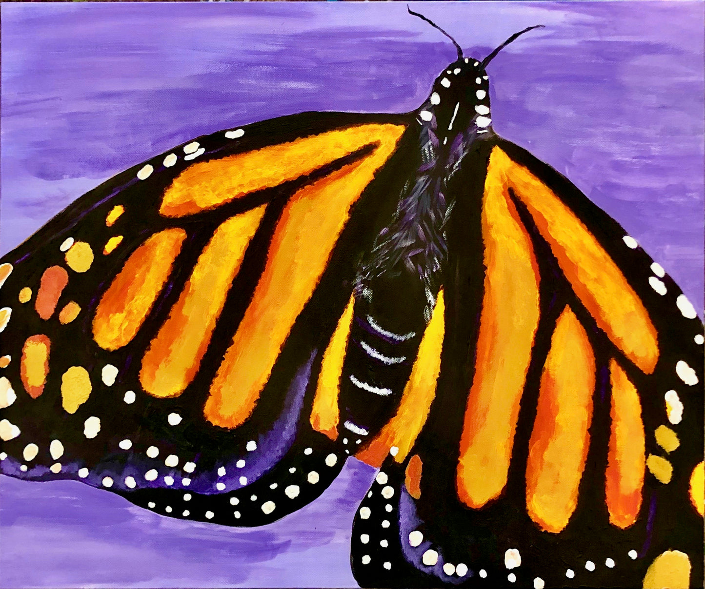 Monarch in Acrylic