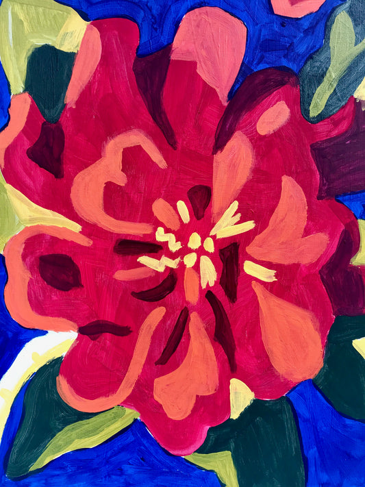Bold Zinnia