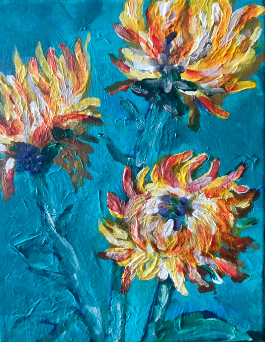 Colorful Chrysanthemum
