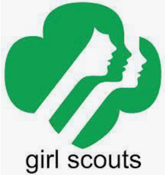 Girl Scouts Painting Event
