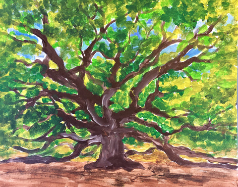Johns Island Angel Oak
