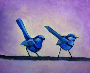 Fairy Wrens