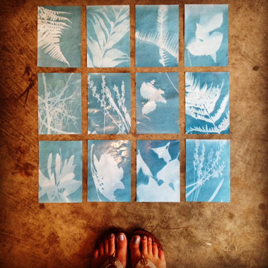 Cyanotype Print Making